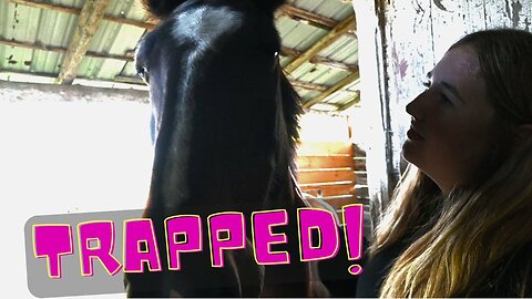 Trapped In The Horse Barn!