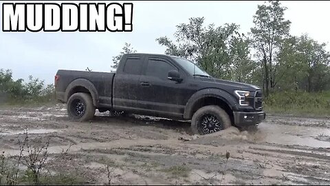 I couldn't resist... had to take the F150 mudding again!