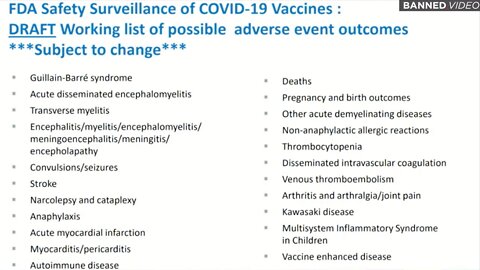 Steve Kirsch Analysis: The Covid Hoax is Collapsing