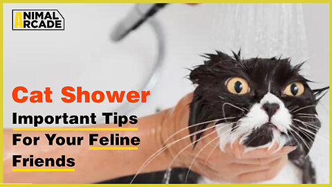 Cat-iclysmic Cleanse: Hilarious Kitty Takes a Shower!