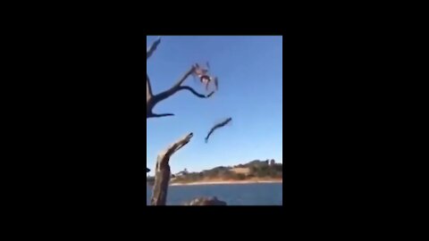 Fail moment | A man jump from the tree