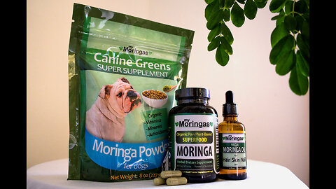 Moringa and Phytonutrients