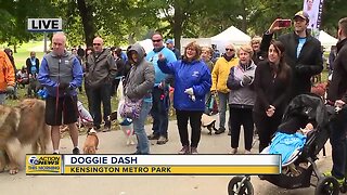 Doggie Dash