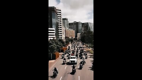 🇳🇿🐑🌿- NZ Stands - Tribute to our ✝️Fallen Freedom Fighters💗