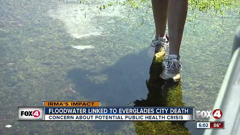 Collier County death raises concern over flood water