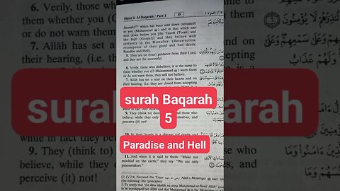 Surah Baqarah | Paradise and hell #viral #shorts #short