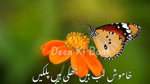 Gazal Status | New Gazal Status | Nazam status | zara sa qudrat ne kya nawaza |