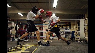 boxing sparing