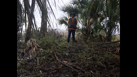 Hiking to an Ancient Pond Midden and River Mound