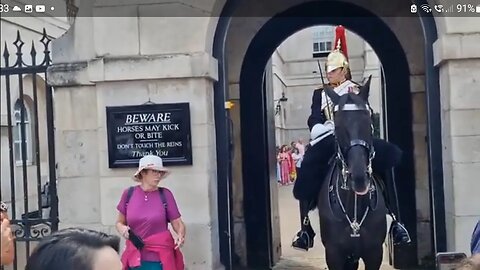 King's guard gives a piercing look when she realises tourist walked through the box. #kingsguard