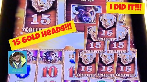 I Can't Believe I Did It! All 15 Gold Buffalo Heads Captured Live on Buffalo Gold Collection Slot.