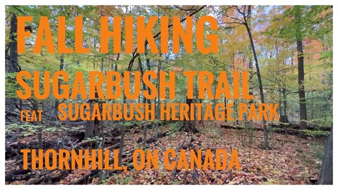 Sugarbush Trail | Sugarbush Nature Walk |Sugarbush Heritage Park | Fall Colours | Thornhill, ON 🇨🇦