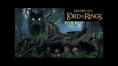 the cat in the lord of the ring - best meme