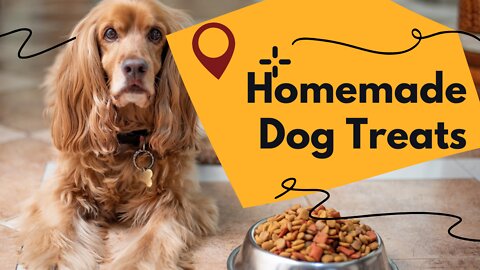 how to make Homemade Dog Treats | Making My Dogs Homemade Dog Treats