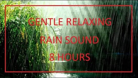 8 HOURS OF GENTLE RELAXING RAIN | Relax Your Mind, Calm Your Racing Thoughts and Help You Sleep