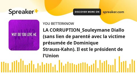 LA CORRUPTION_Souleymane Diallo (sans lien de parenté avec la victime présumée de Dominique Strauss-