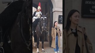 Horse wants her handbag #horseguardsparade