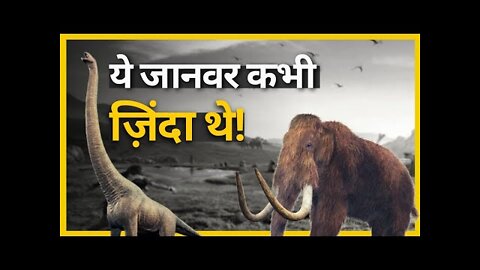 Amazing Facts about Extinct animals | FactStar