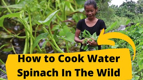 SURVIVAL - How to Cook Water Spinach In The Wild | Survival Skills