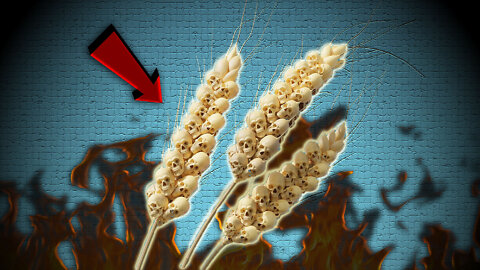 We Are On The Brink Of A GLOBAL FOOD CATASTROPHE, Only 10 WEEKS OF WHEAT SUPPLIES LEFT IN THE WORLD!