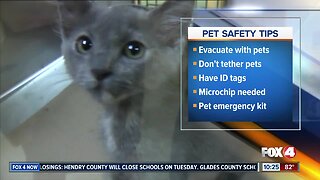 ASPCA warns people not to leave pets behind