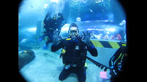 5 YR OLD Scuba Dives with GREAT WHITE SHARKS in Mexico!!