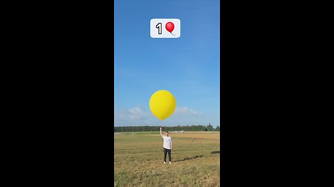 How Many Balloons Does it take to Fly? || की नौकरी ||MrBeast Hindi || Mr Beast Urdu ||