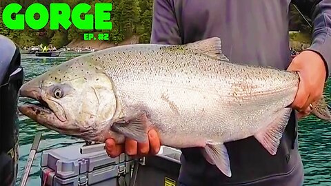 Columbia River Gorge SALMON FISHING!