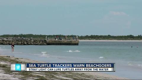 Volunteers need help protecting sea turtle eggs during one of the largest nesting seasons