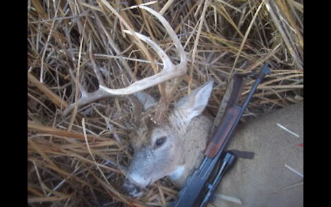 Big buck cattail hideaways