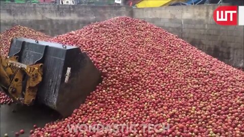 How Apple Juice Is Made In Factory