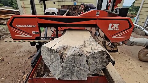 Spalted Silver Maple on the Sawmill