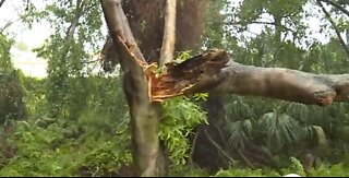 Storms causing damage in Palm Beach Gardens