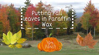 Fall Leaves in Paraffin Wax