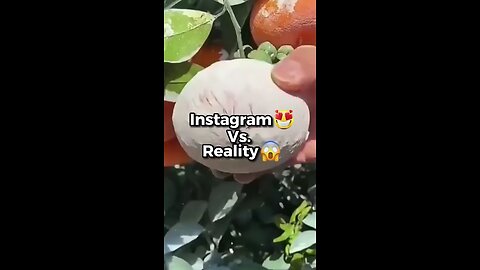 Instagram vs Reality of the place on earth