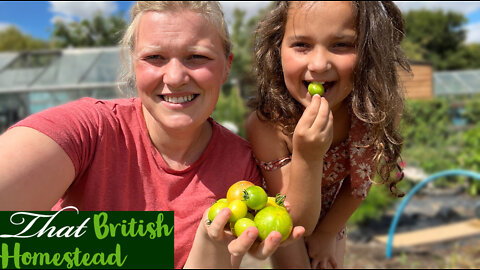 Mid Summer Garden Tour and Harvest: Allotment Garden