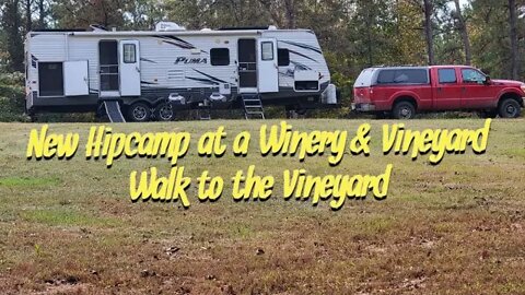 New Hipcamp at a Winery & Vineyard Walk to the Vineyard