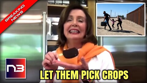 Nancy Pelosi Gets DESTROYED For Claiming Florida Needs Illegal Immigrants To Pick Crops!