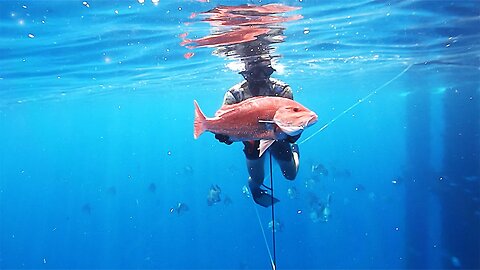 Spearfishing Offshore Oil Rigs for HUGE Red Snapper! Gulf of Mexico Red Snapper Season 2022