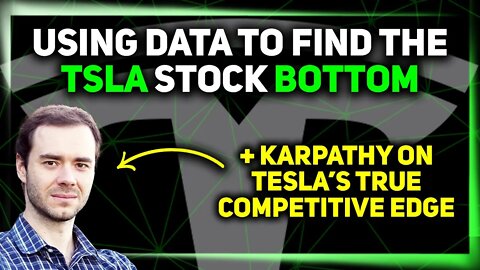 Karpathy on Tesla's Real Advantage / The TSLA Stock Bottom / Fremont Renovations Begin ⚡️