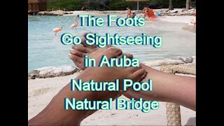 The Foots take a Tour in Aruba