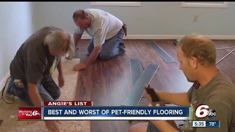 Best and worst pet-friendly flooring