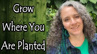 Grow Where You Are Planted