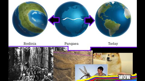 Pangea Before It Was Cool | What Caused The Worldwide Flood of Noah's Day? | IGH Video Excerpt 🌿🔬