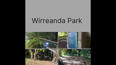 Wirreanda Park