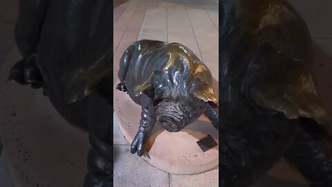 fat ugly pig statue in downtown Mesa