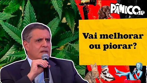 DELEGADO JAIR ORTIZ ALERTA PARA O QUE PODE ACONTECER COM A LIBERAÇÃO DE MACONHA