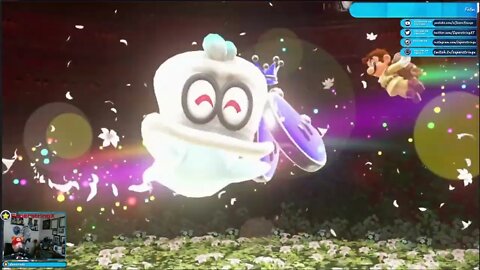 Super Mario Odyssey: Secret Flower Field Boss Battle Playthrough