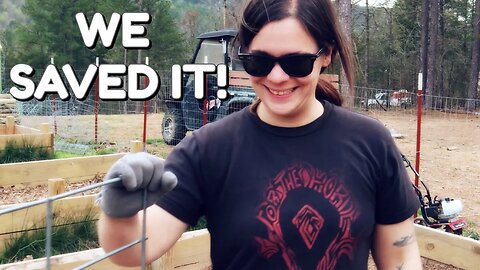 We RECLAIMED It From The Woods! | DIY | Shed To Cabin