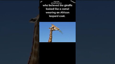 Unique facts about giraffes they are the Greek gods of the animal kingdom #giraffe #shorts